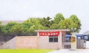 Chiny Dongguan Hyking Machinery Co., Ltd.
